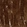 Anti-USP53 Antibody