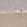 Anti-TRIM2 Antibody
