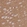 Anti-ADD1 Antibody
