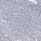 Immunohistochemical staining of human lymph node shows no positivity in germinal center cells as expected.