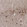 Anti-PCDHA1 Antibody