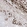 Anti-RGL4 Antibody
