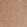 Anti-PARK2 Antibody