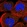 Anti-ANKAR Antibody