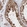 Anti-KATNA1 Antibody