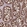 Anti-TOMM40 Antibody