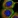 Anti-NPM3 Antibody