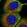 Anti-NPM3 Antibody