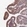 Anti-ITGB4 Antibody