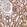 Anti-RTN4IP1 Antibody