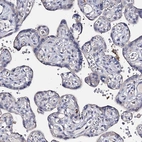 Immunohistochemical staining of human placenta shows low expression as expected.