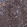 Anti-LCP2 Antibody
