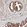 Anti-DMXL1 Antibody