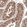 Anti-DMXL1 Antibody