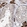Anti-CARD6 Antibody