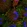 Anti-CARD6 Antibody