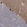 Anti-ARSJ Antibody