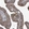 Anti-SUCLG1 Antibody