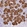 Anti-TFF2 Antibody