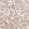 Anti-PSMD1 Antibody