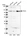 Anti-KIF20A Antibody