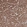 Anti-PSMD6 Antibody
