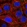 Anti-PSMD6 Antibody