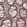 Anti-CEP70 Antibody