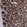 Anti-METTL24 Antibody