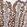Anti-U2SURP Antibody