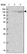 Anti-U2SURP Antibody