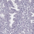 Immunohistochemical staining of human endometrium shows low expression as expected.