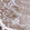 Anti-THNSL1 Antibody