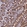 Anti-C1D Antibody