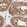 Anti-KIF5B Antibody