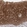 Anti-MPP7 Antibody