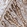 Anti-PIK3C2A Antibody