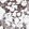 Anti-WDR36 Antibody