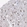 Anti-VWA5A Antibody