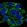 Anti-DEPP1 Antibody