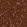 Anti-COPG1 Antibody