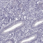 Immunohistochemical staining of human endometrium shows low expression as expected.