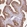 Anti-PRDX5 Antibody