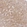 Anti-GBE1 Antibody