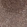 Anti-IQSEC1 Antibody
