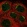 Anti-CEP83 Antibody