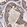 Anti-SEC24B Antibody