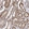 Anti-SEC24B Antibody