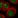 Anti-PTMS Antibody