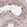 Anti-TTC33 Antibody